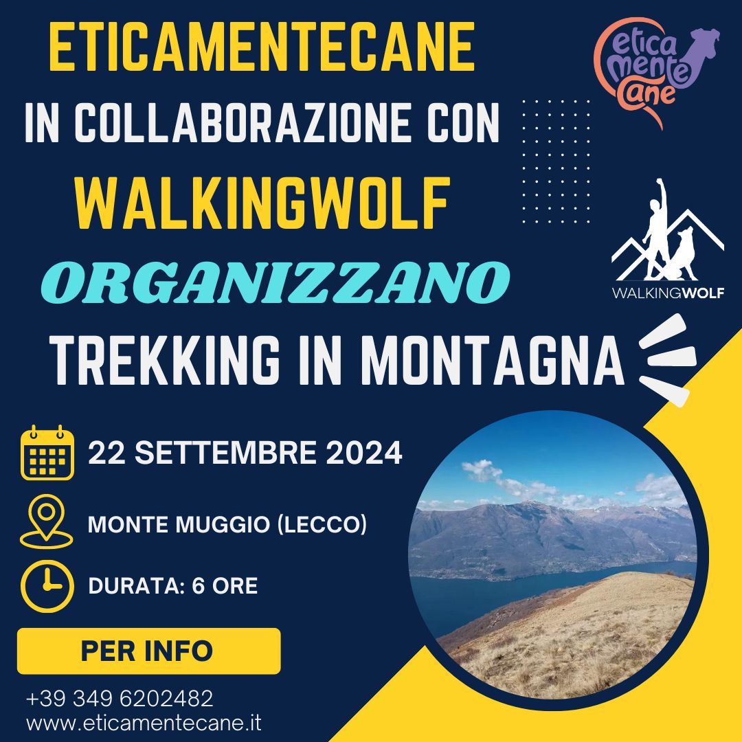 Eticamentecane in collaborazione con WalkingWolf organizzano: TREKKING IN MONTAGNA