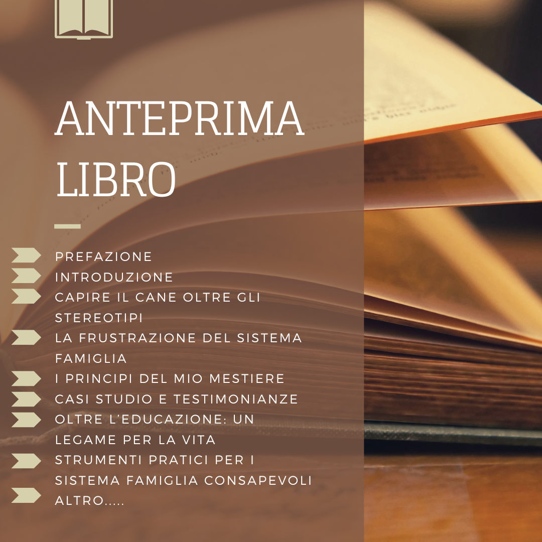 danilo monverde – anteprima del suo primo libro