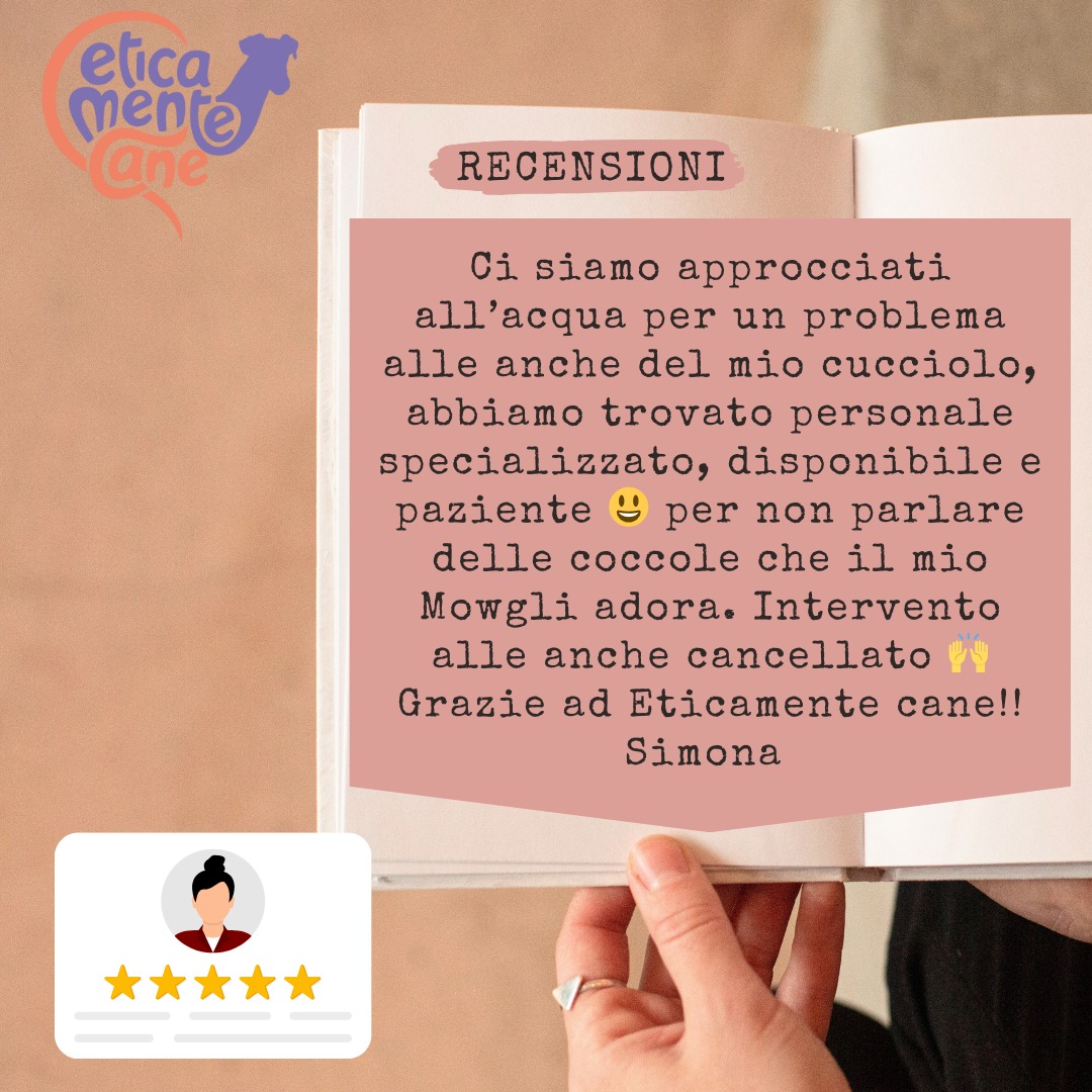 Recensione a 5 stelle da un cliente soddisfatto